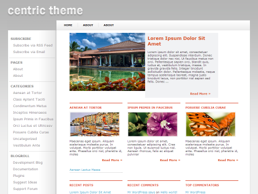 centric Thème centric pour Wordpress en Français