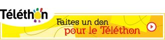 Le Téléthon 2008 et ses outils web de communication