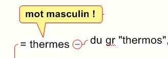 Exemple d\'un sujet bulle dans MindManager