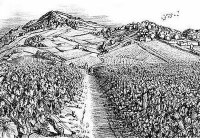 Beaujolais... été !