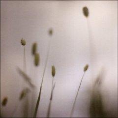 Peter Broderick - Float