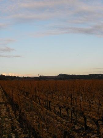 Paysage Viticole du Languedoc-Roussillon (Minervois)
