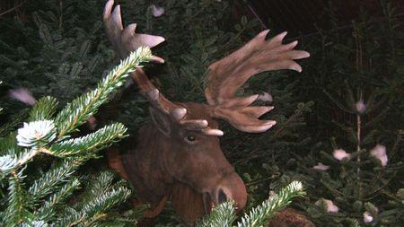 Munich et ses marches de noel Munich19