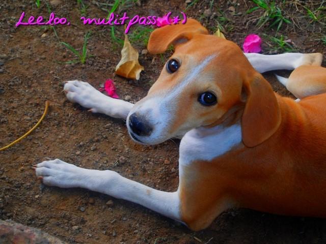 Brèves après et avant le week end, avec ou sans importance - 9 ou 10 P1010084.JPG