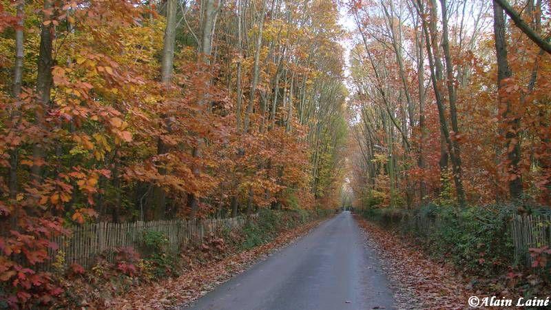 Parc des Gayeulles - Rennes (1/2) Gayeulles_6nov08_2