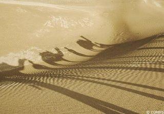 Tunisie : Douz - 41ème Session du Festival National du Sahara Tunisie : Douz - 41ème Session du Festival National du Sahara