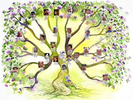 arbre-genealogique.1229065455.jpg