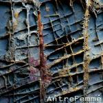 Admirez la nature dans le livre “Wunder welt” du photographe Volkhard Hofer.