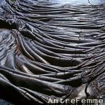 Admirez la nature dans le livre “Wunder welt” du photographe Volkhard Hofer.