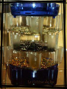 Graines à germer Germoir