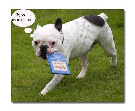 Chocolat quand tu nous tiens ... Socraacrochocolat_1