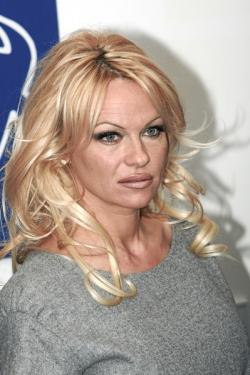 pamela anderson