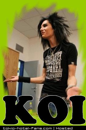 Photo 6594 Photo 6594