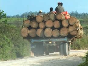 Les peuples qui s’opposent à l’exploitation forestière industrielle dans leurs territoires pensent peut-être qu’ils luttent uniquement pour leurs droits et leurs moyens de vie.Cependant, en faisant cesser cette exploitation ils sont aussi en train d’éviter la libération de grandes quantités de dioxyde de carbone qui sont stockées dans la biomasse forestière. Crédit : DR Les peuples qui s’opposent à l’exploitation forestière industrielle dans leurs territoires pensent peut-être qu’ils luttent uniquement pour leurs droits et leurs moyens de vie.Cependant, en faisant cesser cette exploitation ils sont aussi en train d’éviter la libération de grandes quantités de dioxyde de carbone qui sont stockées dans la biomasse forestière. Crédit : DR
