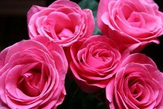 Donner, recevoir / 2