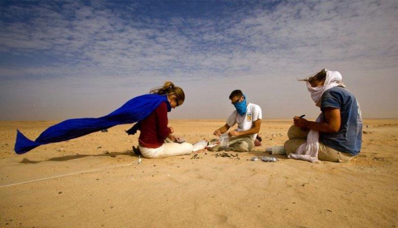 Fouilles au Sahara