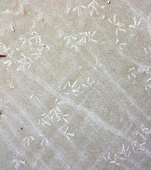 ils-etaient-ici-2 ils-etaient-ici-2