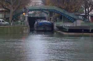 Une rose pour St Martin... part 2 rose pour Martin... part