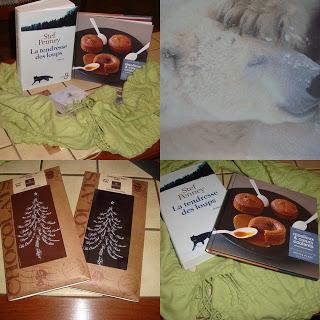 Noël avant l'heure! Noël avant l'heure!