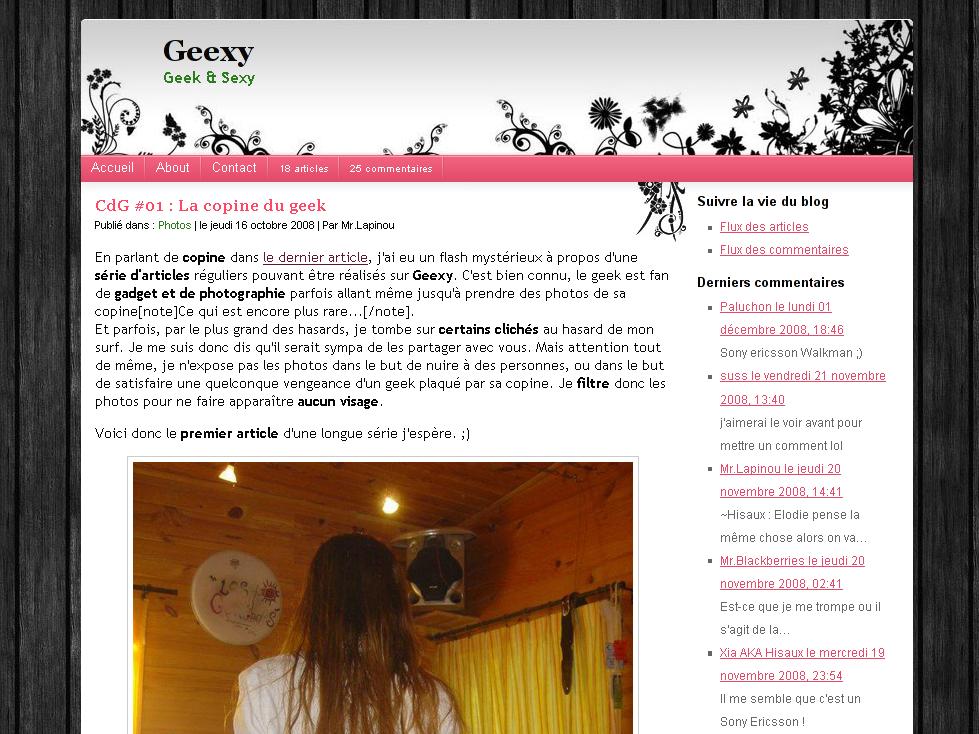 Screenshot de Geexy sous Ligneous