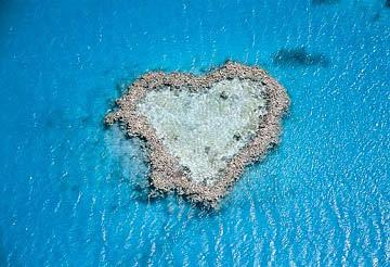 Coeur de Voh, unique ? Heart Reef, Great Barrier Reef of the Whitsundays