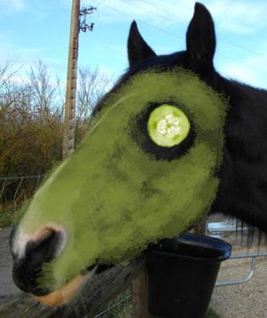 masque1 Protéger son auguste : soins pour les fessiers sensibles photo cheval