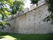 Le Mur de la Faim petrin_hladova_zed1x.jpg