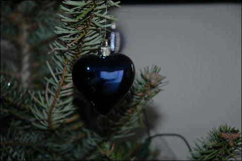 Elle l'aime ! Elle l'aime !