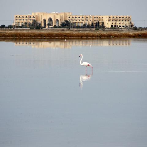 je-vais-bientot-changer-de je-vais-bientot-changer-de