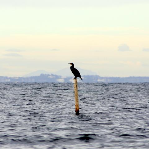 je-me-fais-des-ennemis je-me-fais-des-ennemis