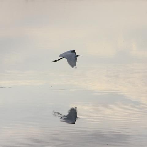 attends-moi attends-moi