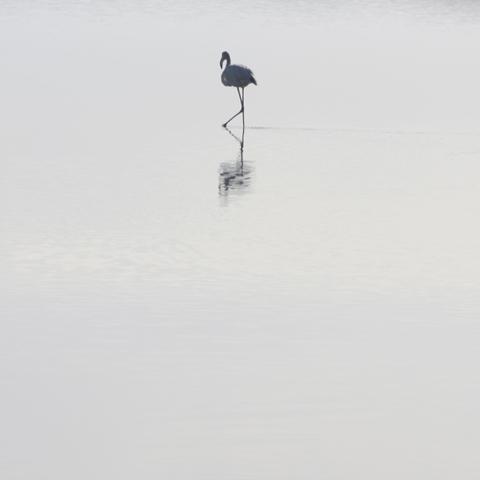 je-ne-les-vois-plus je-ne-les-vois-plus