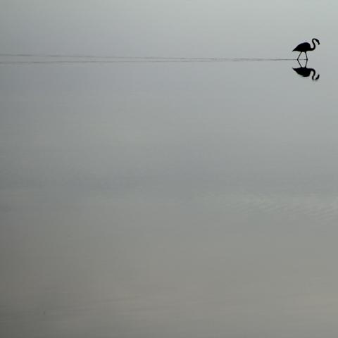 je-ne-comprends-plus1 je-ne-comprends-plus1