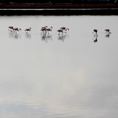 delicieux-non delicieux-non