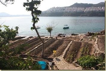 Vive l'hiver ! Decembre2008_ 417