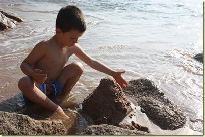 Vive l'hiver ! Decembre2008_ 432