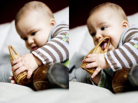 CRW_0690_montage.jpg, dec 2008