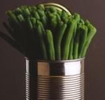 peer - amygdales Arton_Haricots-verts4.jpg