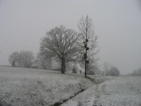 Il neige gersois ! IMG_0580