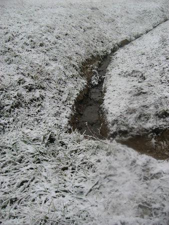 Il neige gersois ! IMG_0581