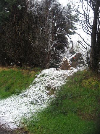 Il neige gersois ! IMG_0583