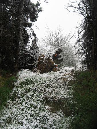 Il neige gersois ! IMG_0584