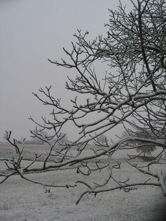 Il neige gersois ! IMG_0611