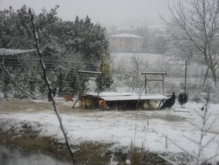 Il neige gersois ! IMG_0622