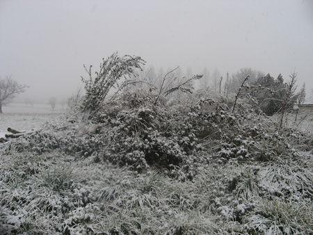 Il neige gersois ! IMG_0547