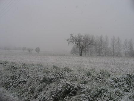 Il neige gersois ! IMG_0559