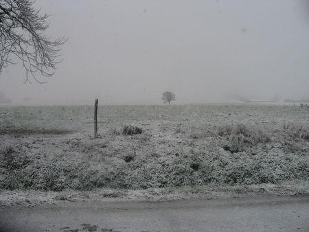Il neige gersois ! IMG_0554