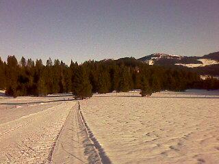 Un Noël qui sent la poudre... Un Noël qui sent la poudre...