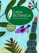 Pré-ouverture de Casa Botanica une pépinière multicolore à Marrakech