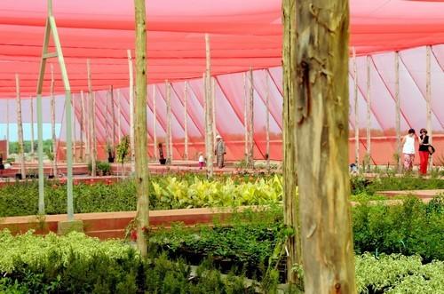 Pré-ouverture de Casa Botanica une pépinière multicolore à Marrakech